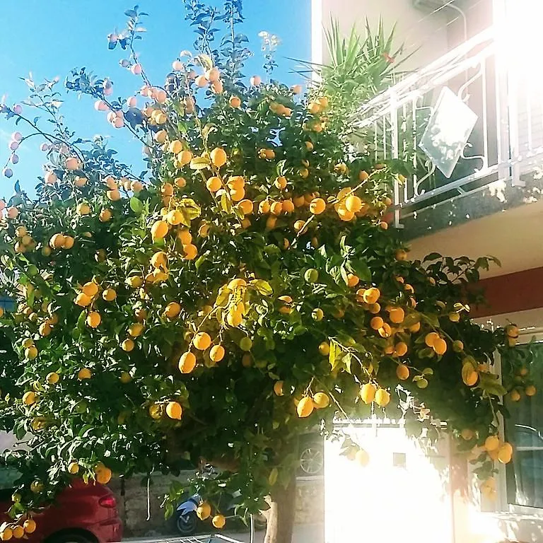 Apartments And Rooms Tino Trogir 4*,